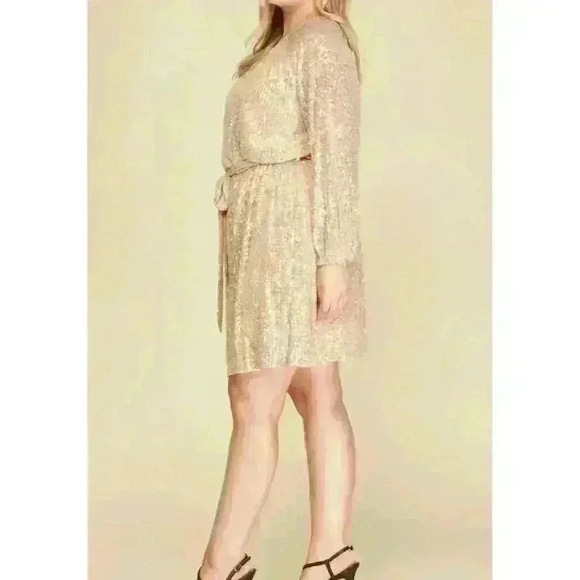 NEW SHE + SKY long sleeve sequin dress plus in champagne - Picture 1 of 3